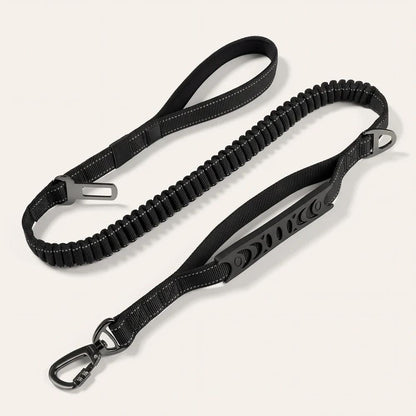Laisse élastique pour chien Nyvo