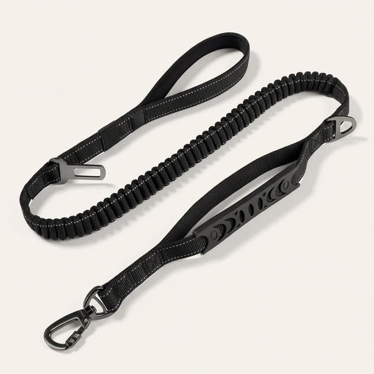 Laisse élastique pour chien Nyvo