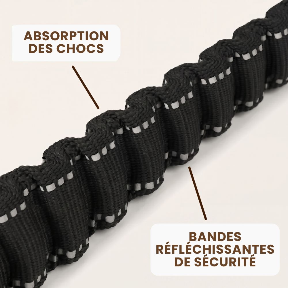 Laisse élastique pour chien Nyvo