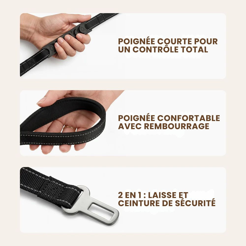 Laisse élastique pour chien Nyvo