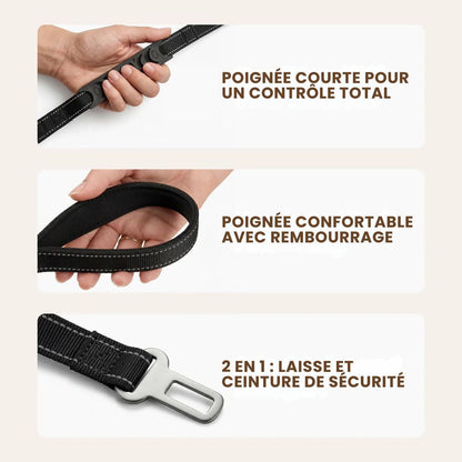 Laisse élastique pour chien Nyvo