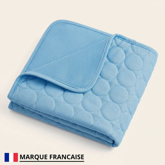 Tapis Rafraîchissant pour chien