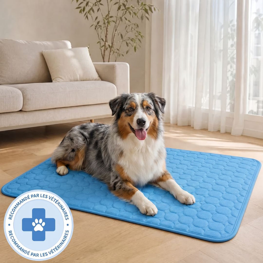 Tapis Rafraîchissant pour chien