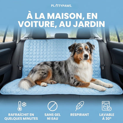 Tapis Rafraîchissant pour chien