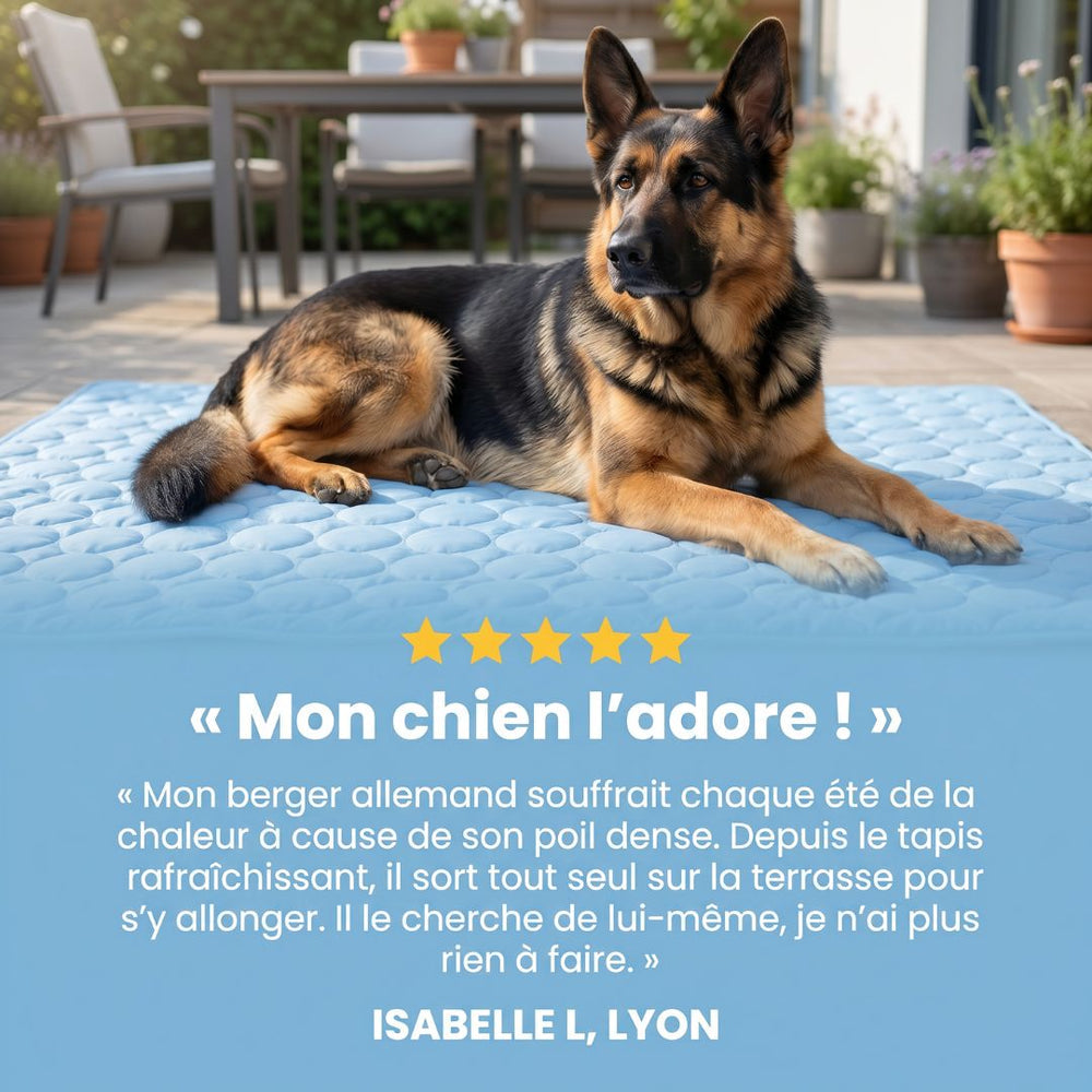 Tapis Rafraîchissant pour chien
