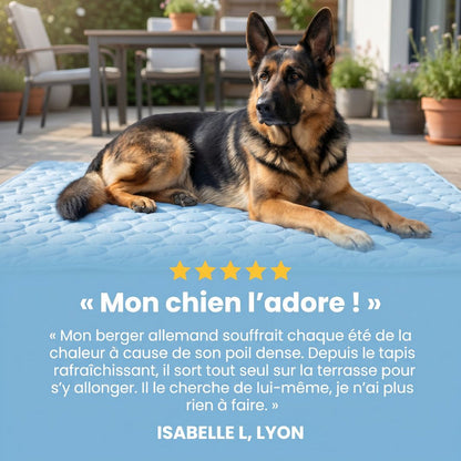 Tapis Rafraîchissant pour chien